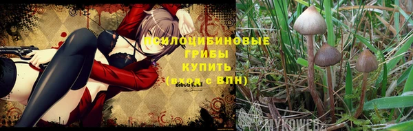 Альфа ПВП Лихославль