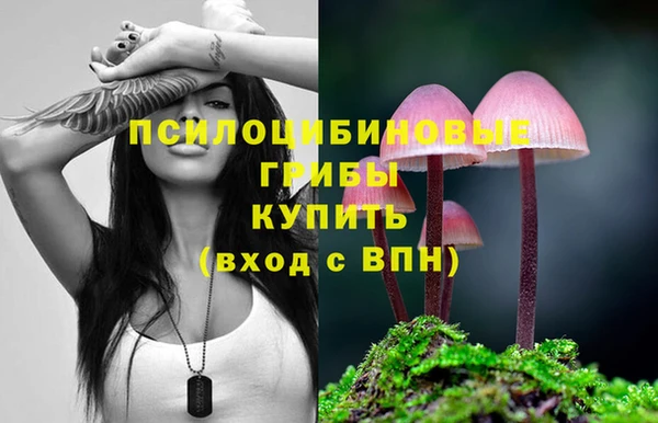 Альфа ПВП Лихославль