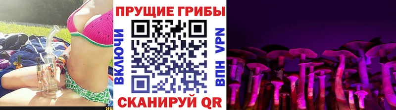 Галлюциногенные грибы Psilocybine cubensis  Отрадное 