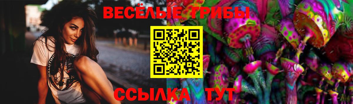 Отрадное  Галлюциногенные грибы Cubensis  Вход с VPN  Галлюциногенные грибы Cubensis 